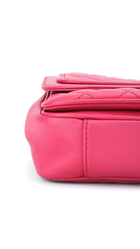 purse21