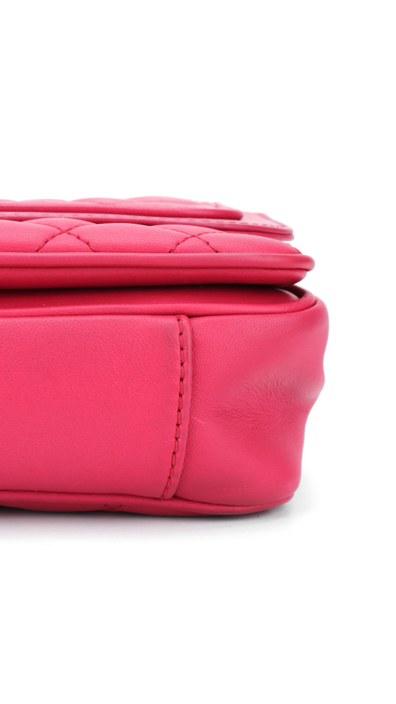 purse21