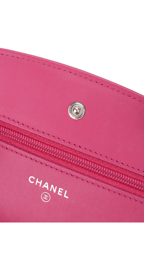 purse19