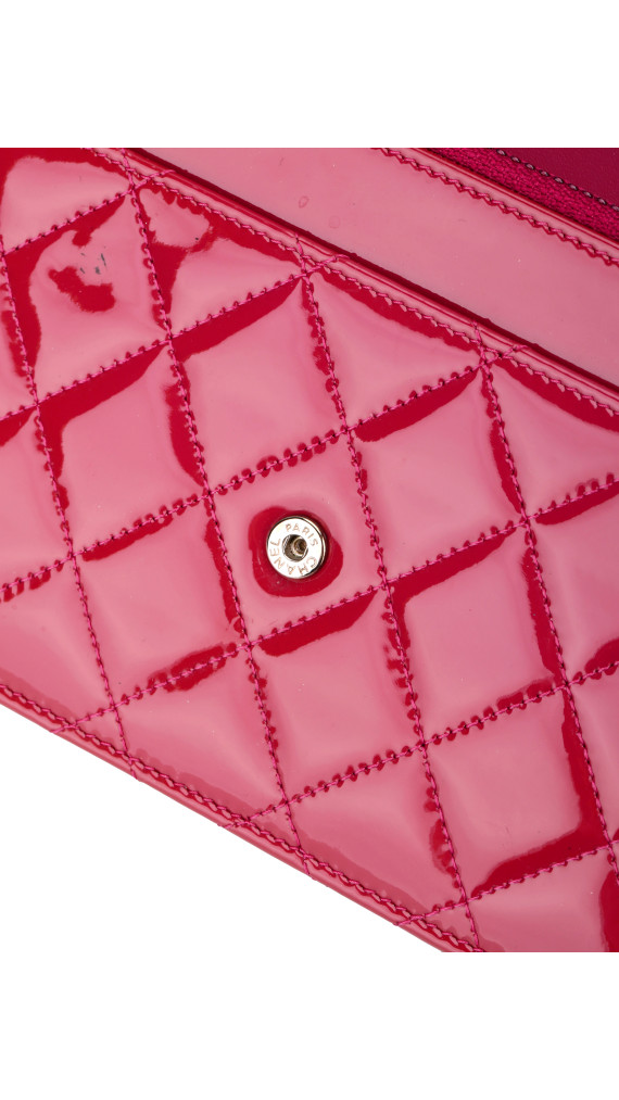 purse19