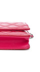 purse19