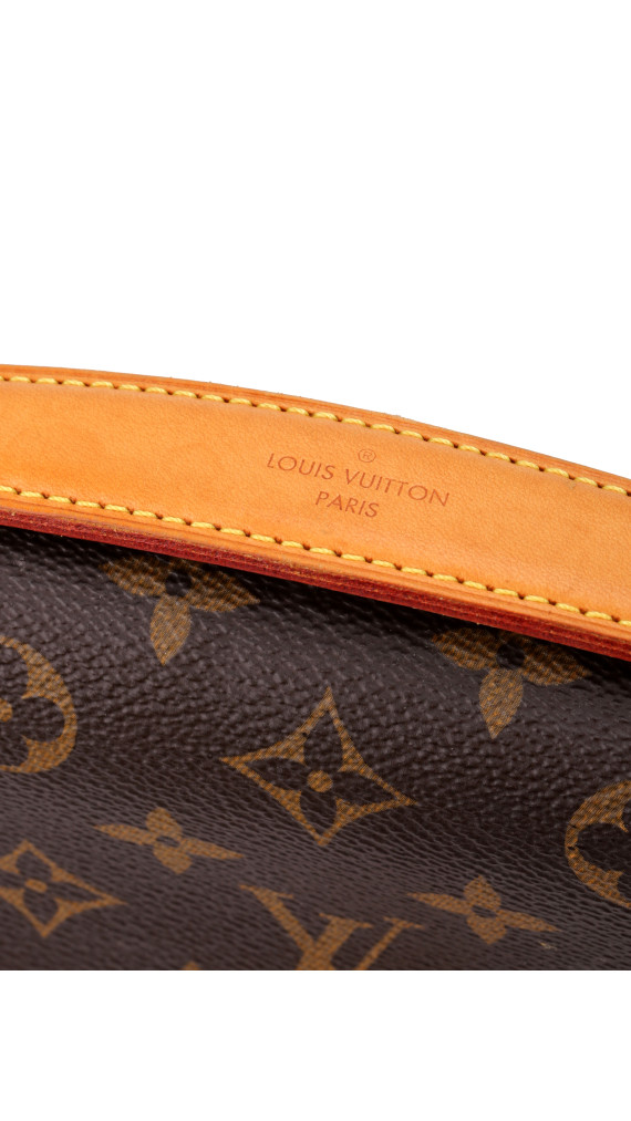 Louis Vuitton Métis Monogram Shoulder Bag