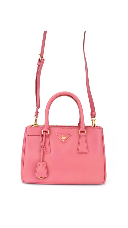 purse5