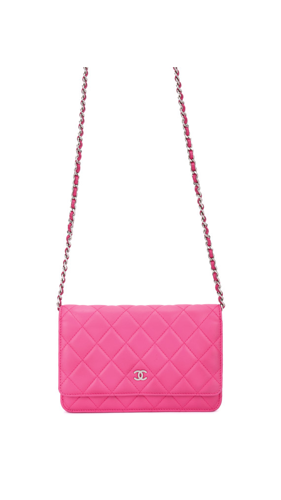 Chanel Wallet On Chain Quilted Flap Bag