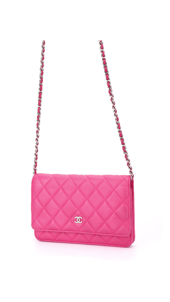 Chanel Wallet On Chain Quilted Flap Bag