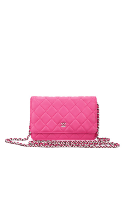 Chanel Wallet On Chain Quilted Flap Bag