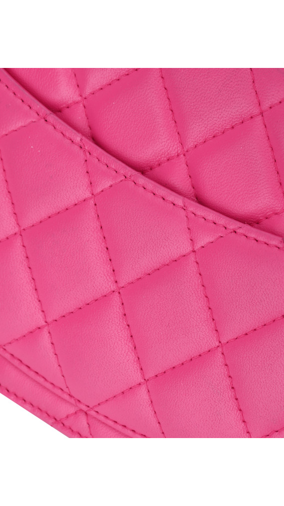 Chanel Wallet On Chain Quilted Flap Bag