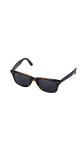 Ray-ban Solbriller