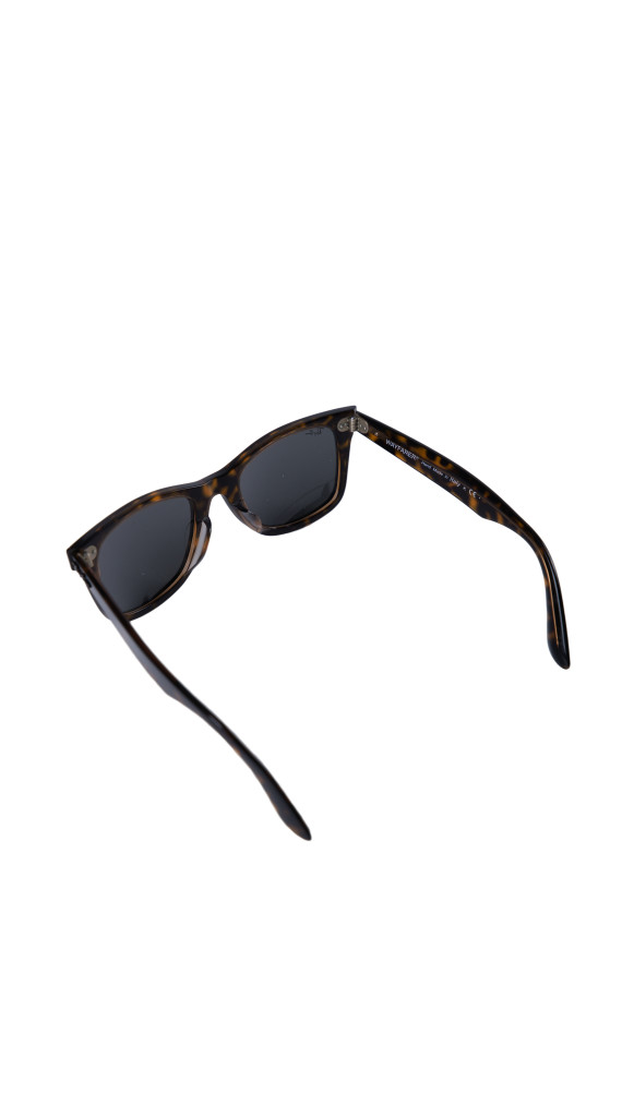 Ray-ban Solbriller