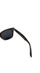 Ray-ban Solbriller
