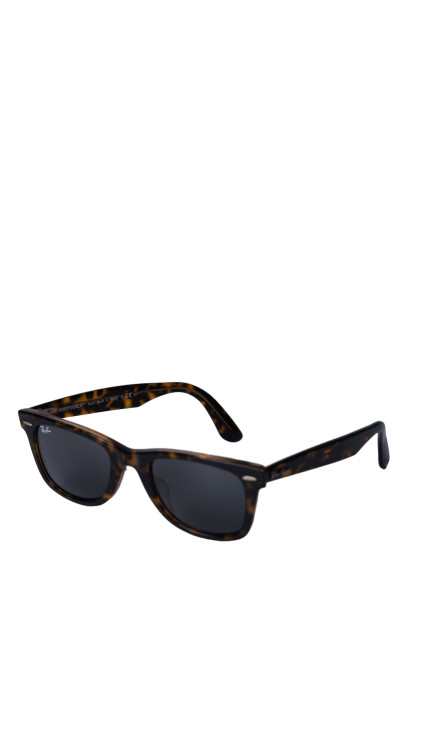 Ray-ban Solbriller