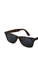 Ray-ban Solbriller