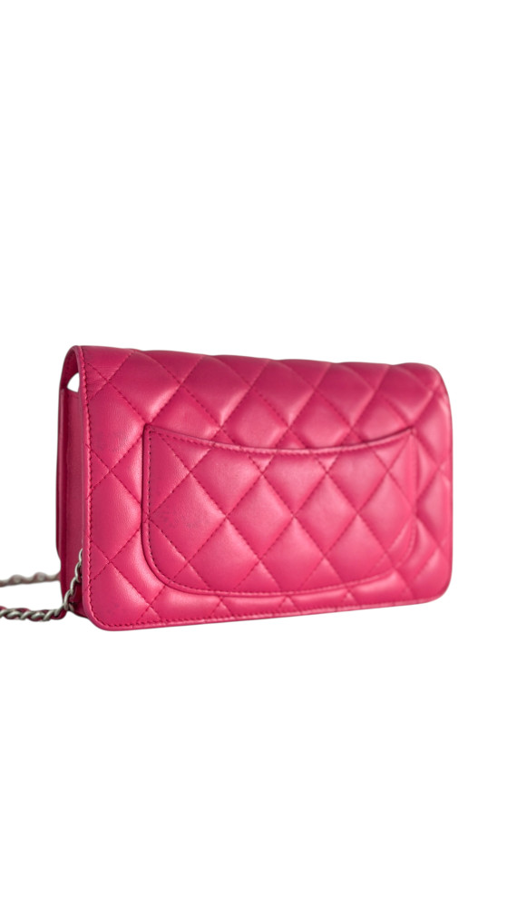 Chanel Wallet On Chain Quilted Flap Bag