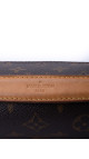Louis Vuitton Métis Monogram Shoulder Bag