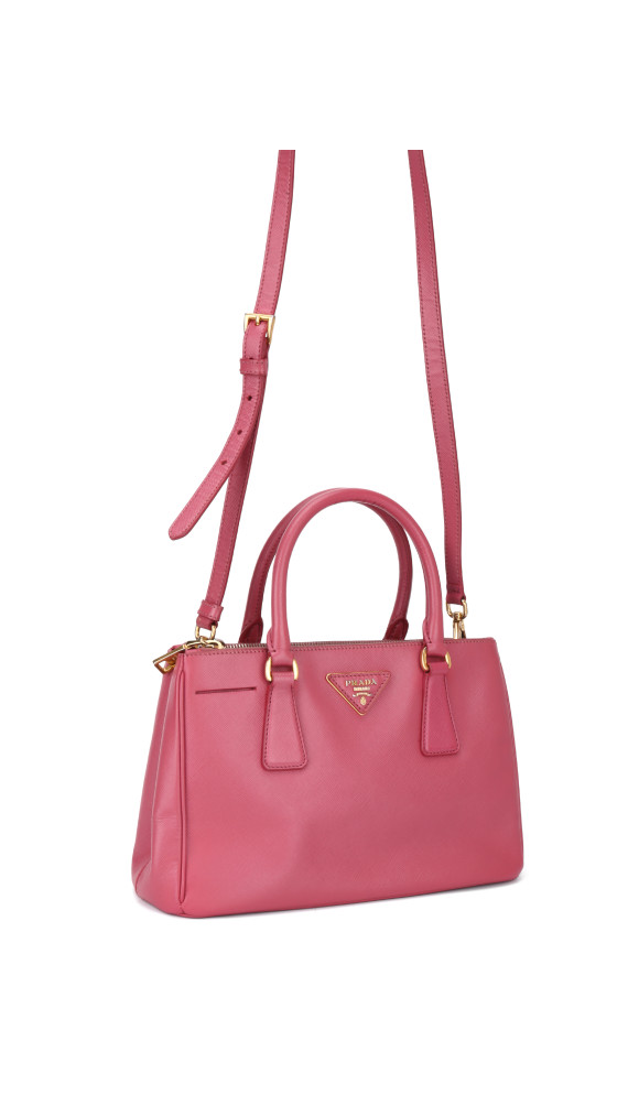 purse9