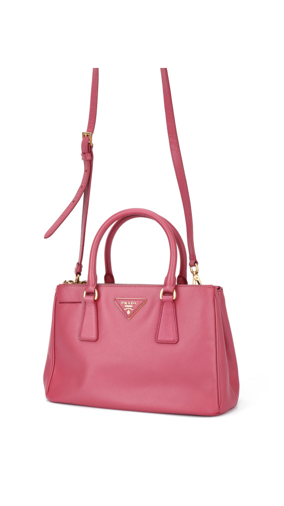 purse9