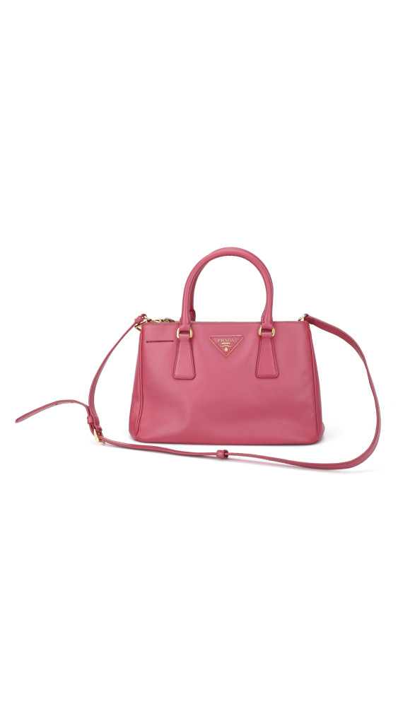 purse9
