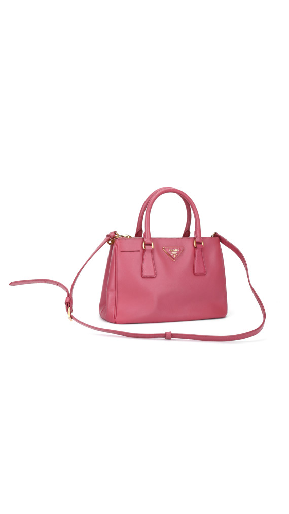 purse9