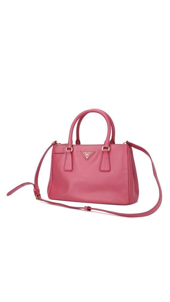 purse9