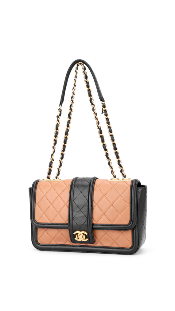 purse5