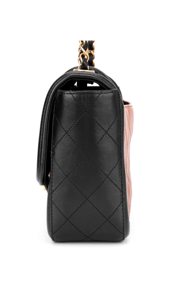 purse5