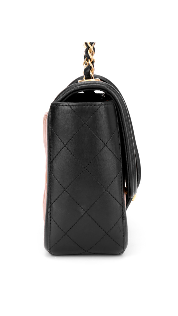 purse5
