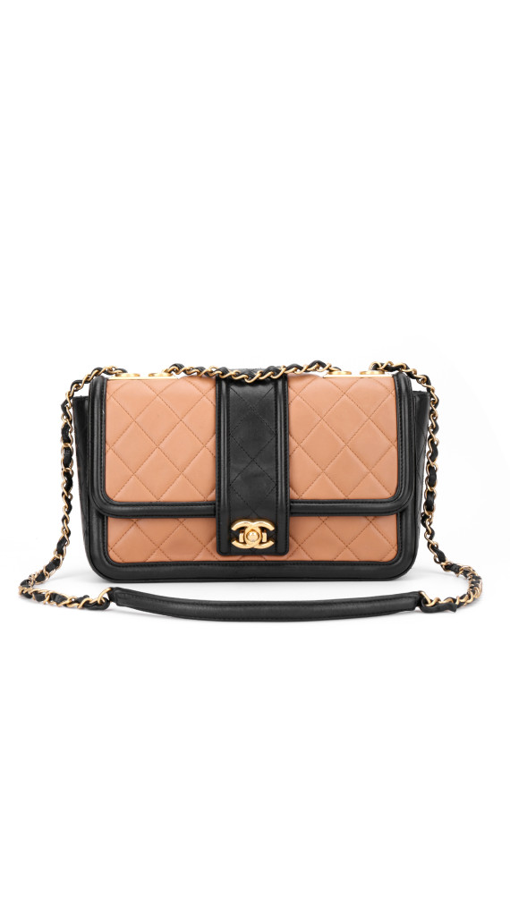 purse5