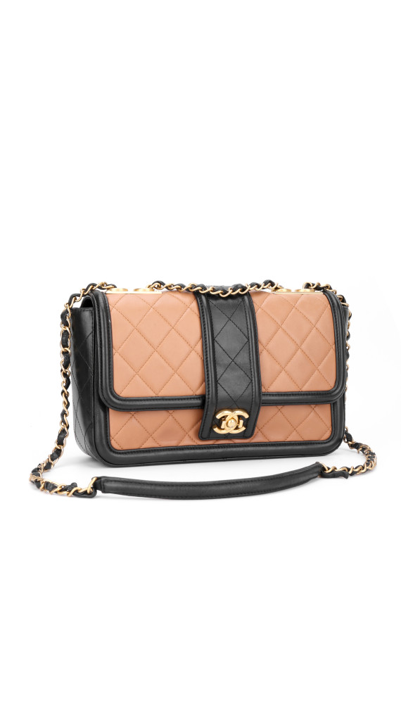 purse5