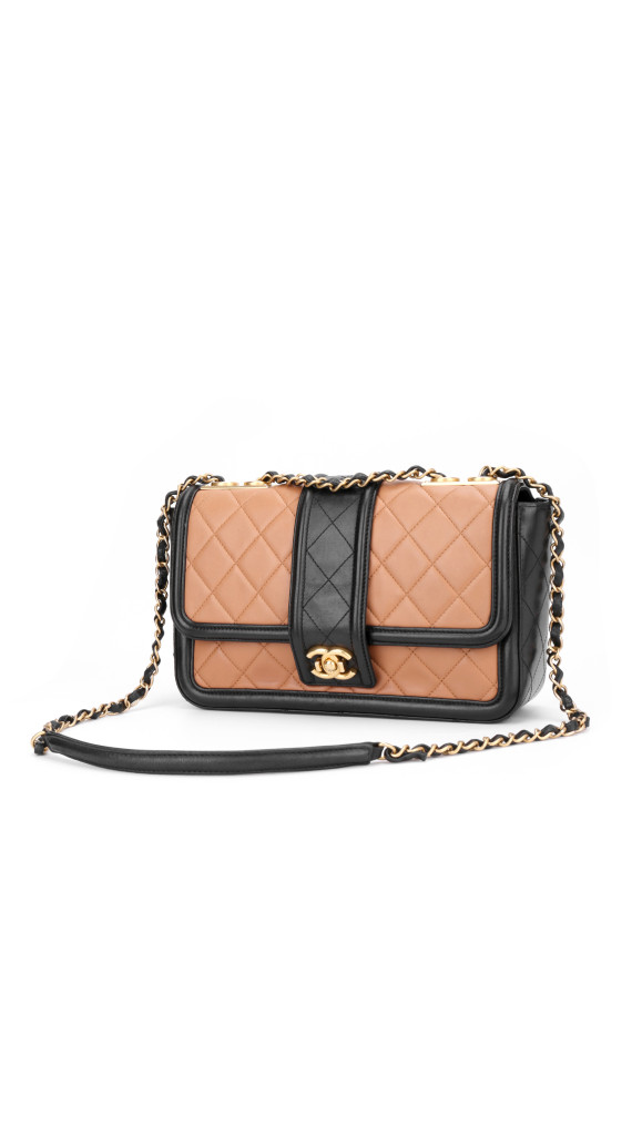 purse5
