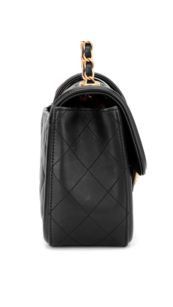 Chanel Single Flap Bag Sort