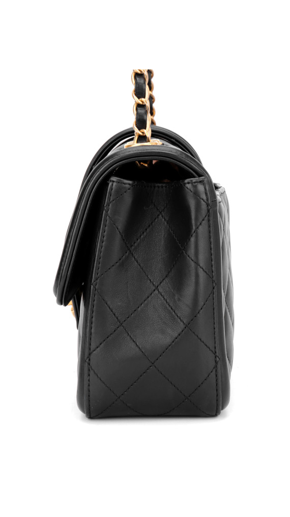 Chanel Single Flap Bag Sort