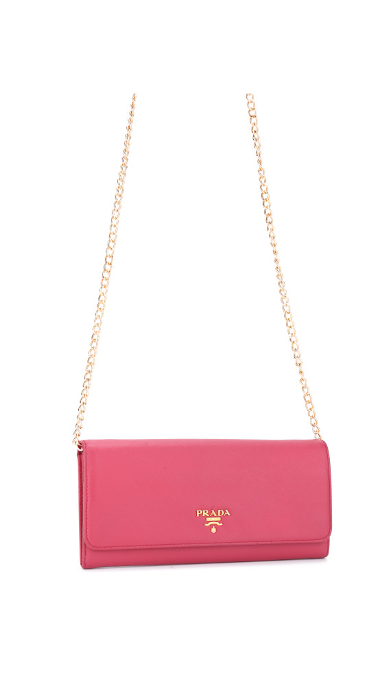 purse11