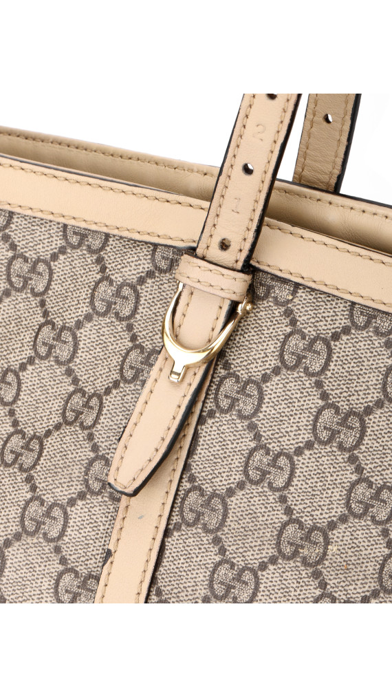 purse19