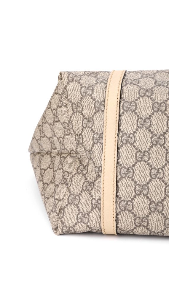 purse19