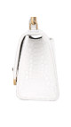 purse4