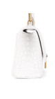 purse4