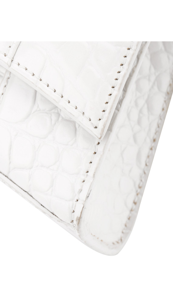 purse4