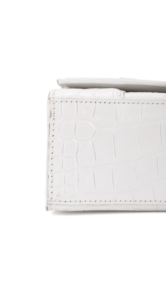 purse4