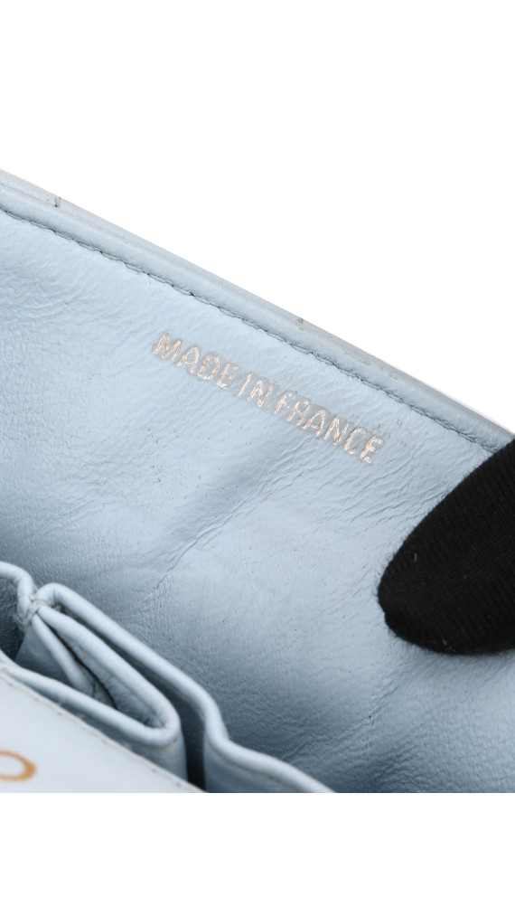 purse5