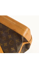 Louis Vuitton Noé Monogram Canvas Bucket Bag