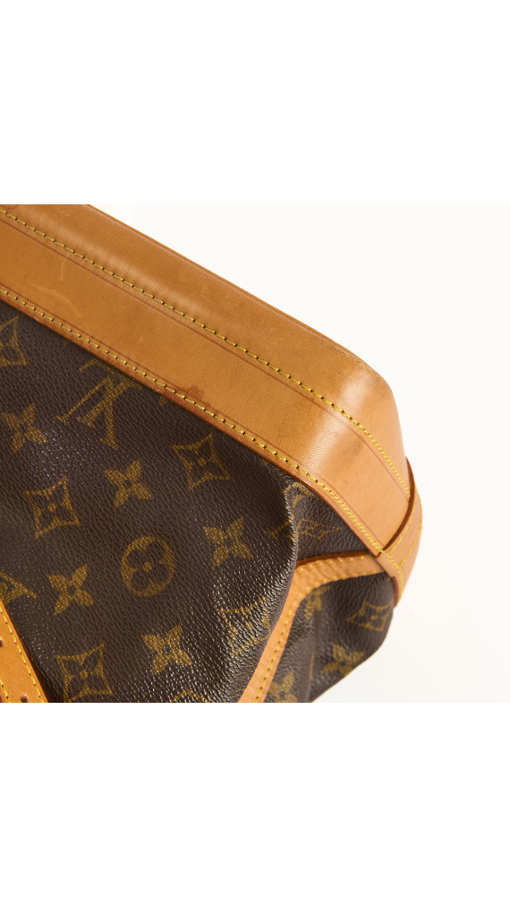 Louis Vuitton Noé Monogram Canvas Bucket Bag