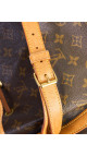 Louis Vuitton Noé Monogram Canvas Bucket Bag