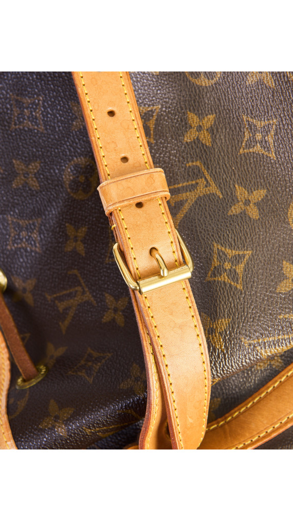 Louis Vuitton Noé Monogram Canvas Bucket Bag