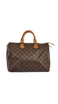 Louis Vuitton Speedy 35
