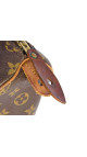 Louis Vuitton Speedy 35