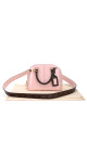 purse 1