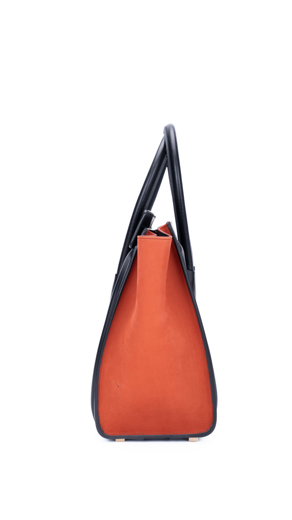 Celine Luggage Tote Bag i Canvas og Skinn – Tricolor