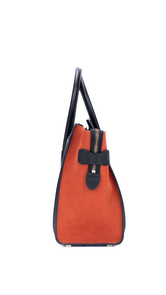Celine Luggage Tote Bag i Canvas og Skinn – Tricolor