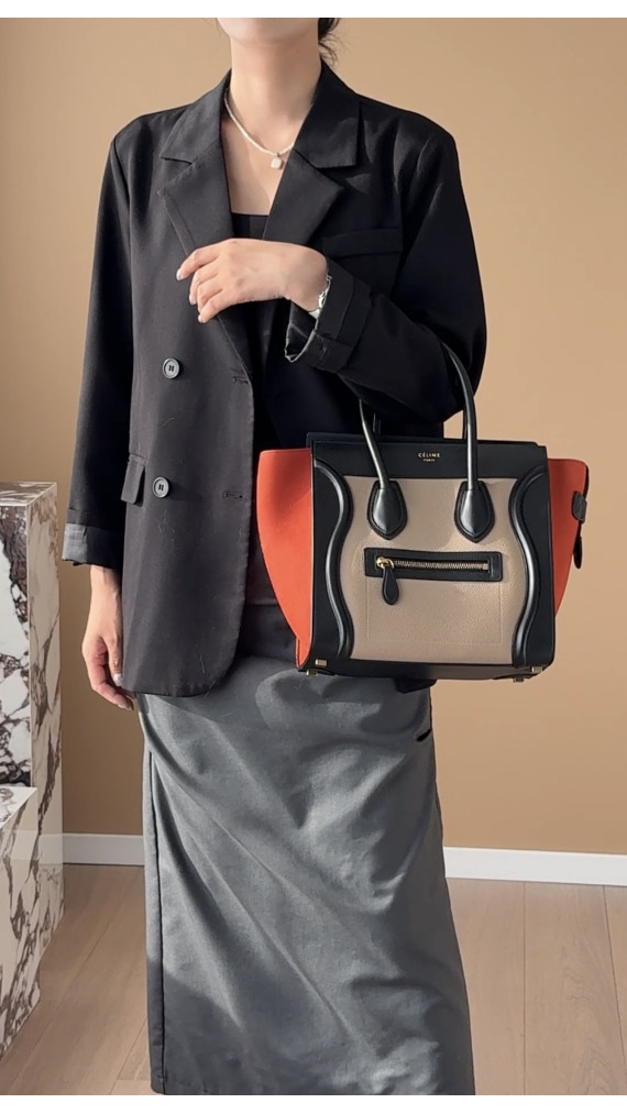 Celine Luggage Tote Bag i Canvas og Skinn – Tricolor