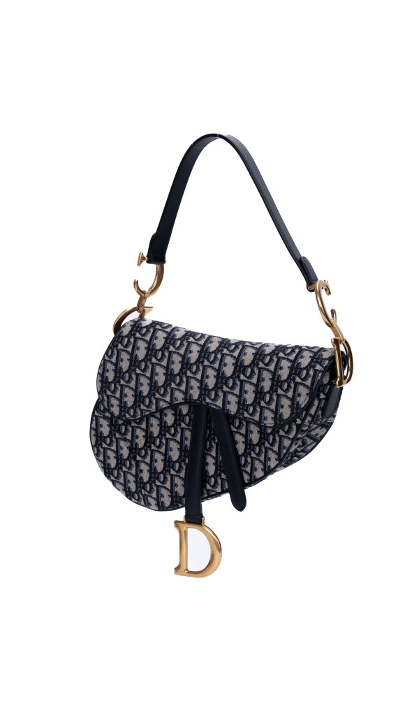 Dior Saddle Bag Size Classic (Medium) i Oblique canvas